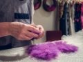 20170112-_RDU0239.jpg 20170112-_RDU0239.jpg