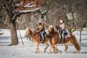 Horse_riding-_RD83966