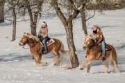 Horse_riding-_RD83999