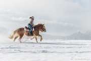 Horse_riding-_RD84047