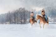 Horse_riding-_RD84061