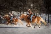 Horse_riding-_RD84087