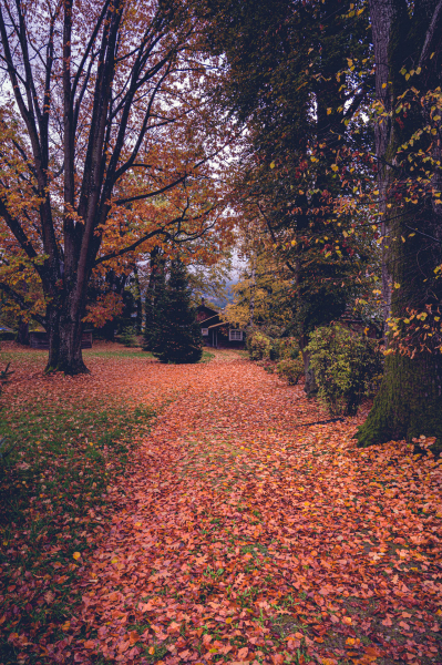 191103_unbenannt_4196