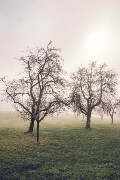 191208_unbenannt_4970