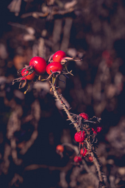 191208_unbenannt_4976