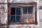 DSC_7610.jpg