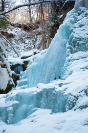 DSC_7635.jpg